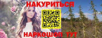 гидропоника Новозыбков