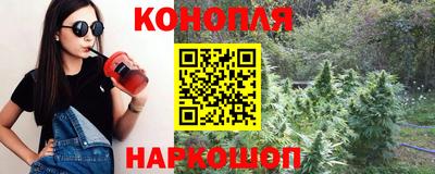 гидропоника Новокубанск