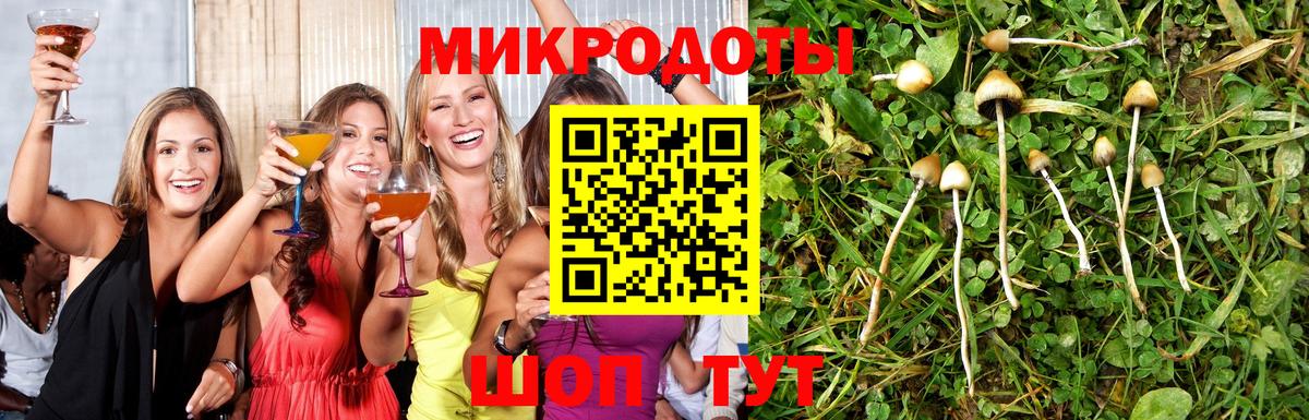 Галлюциногенные грибы мицелий Тайшет