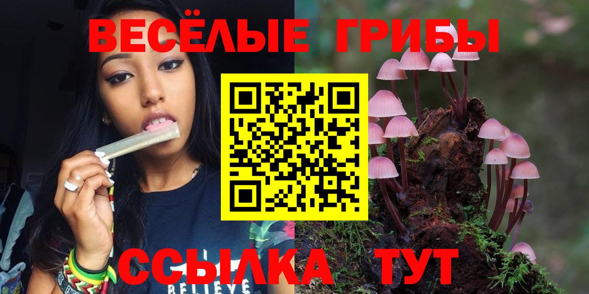 Галлюциногенные грибы MAGIC MUSHROOMS  Вход с VPN  Галлюциногенные грибы прущие грибы  Тайшет 